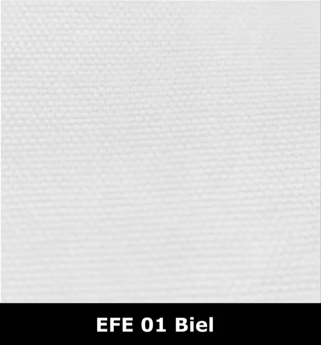 EFE01-BIEL