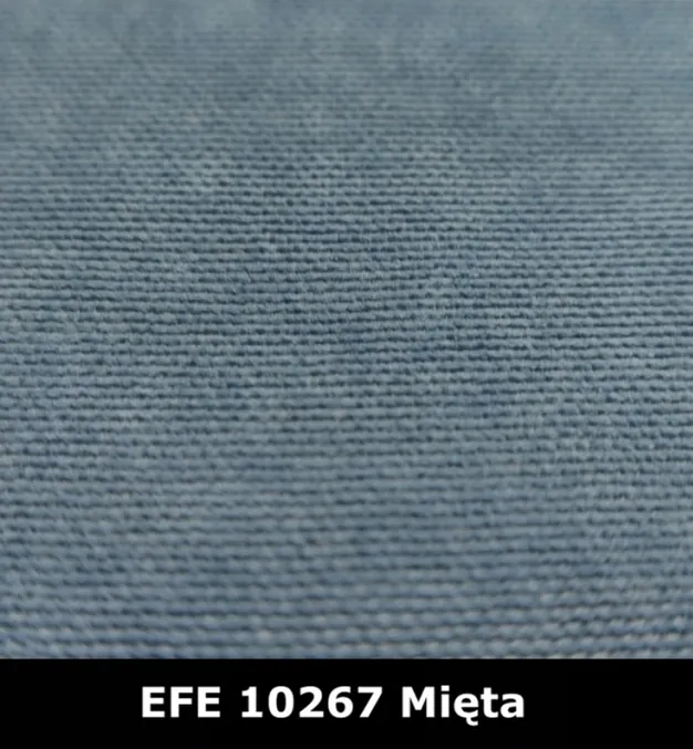 EFE10267-mieta