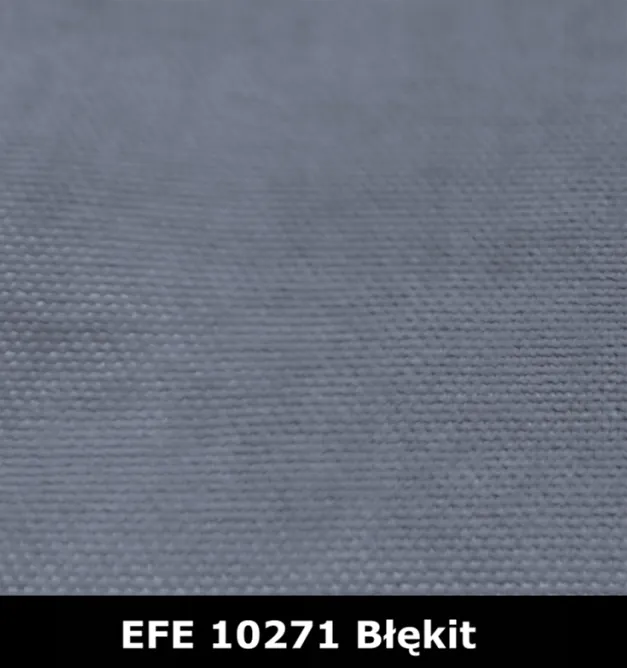 EFE10271-blekit