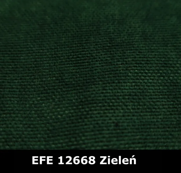 EFE12668-zielen