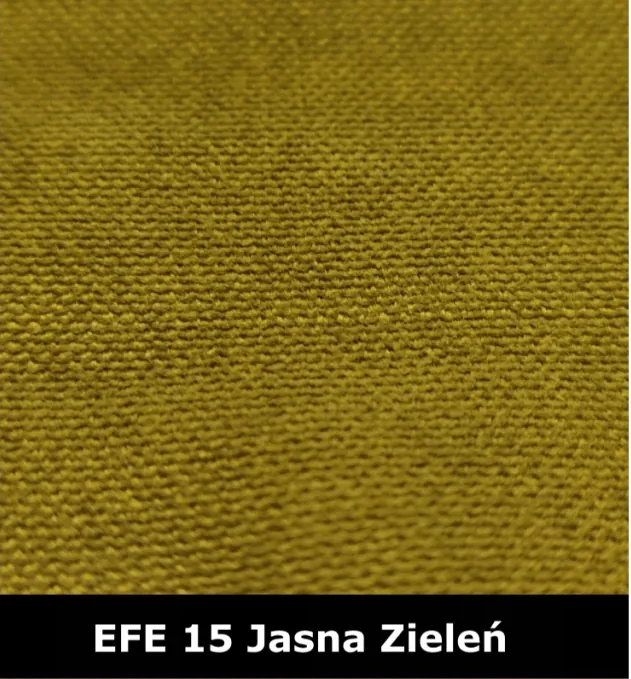 EFE15-Jasna-zielen